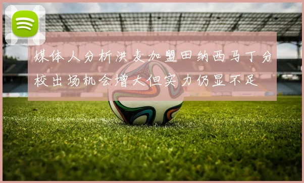 媒体人分析洪麦加盟田纳西马丁分校出场机会增大但实力仍显不足